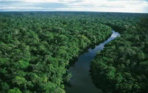 A Floresta Amazônica